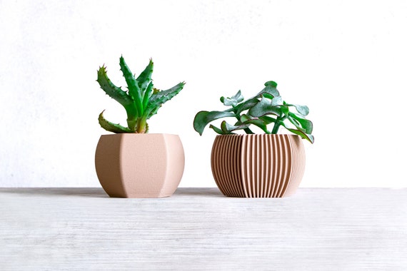 Nice Plant Pot Set | Mothers Day Gift | 2 Small Planter Set | Wood Air Plant  Holder Set | Wood Desk Planter | Wood Cache Pot - Etsy