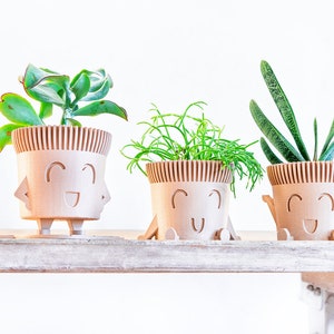 May include: Three small potted plants with smiling faces on their pots. The plants are on a wooden shelf.