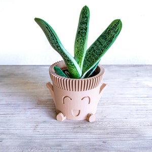 May include: A green and white succulent plant in a brown ceramic planter with a smiling face and arms and legs.