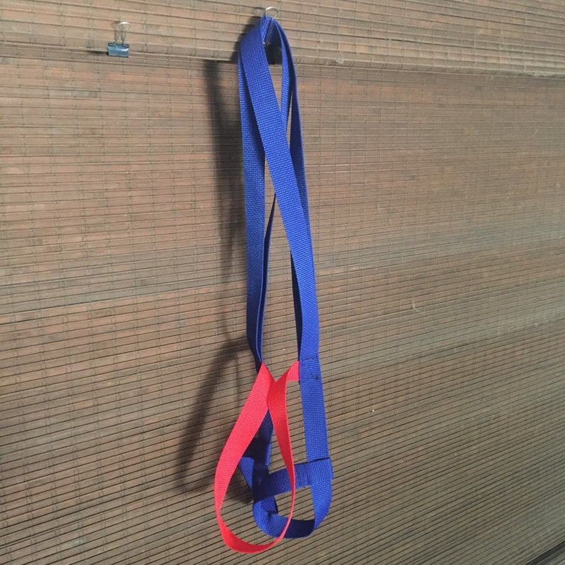 Captain MarVel Adult Travel Skate Leash
