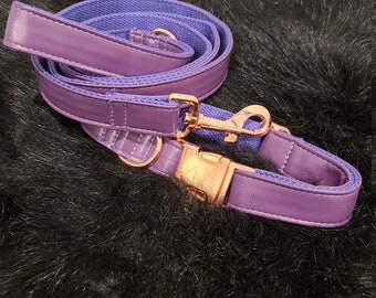 Purple Collar and leash with rose gold hardware, Dog Collar, Dog Leash
