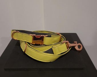 Bright Green Collar and leash with rose gold hardware, Dog Collar, Dog Leash