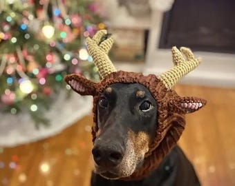 Cozy Knit Pet Hat