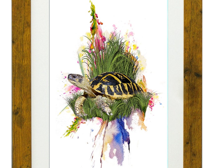 TORTUGA, Framed Limited Edition Fine Art Giclée Print, from an original Watercolour illustration, by Gerald Bright