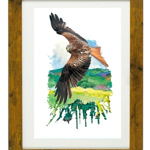 AQUILONE ROSSO (Red Kite), Framed Limited Edition Fine Art Giclée Print, from an original Watercolour illustration, by Gerald Bright