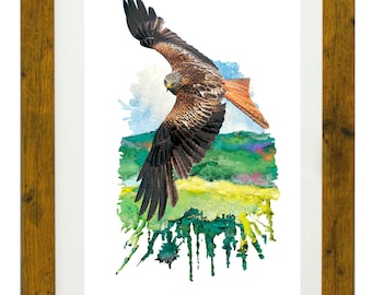 Red Kite in Flight Print Gift - Etsy UK