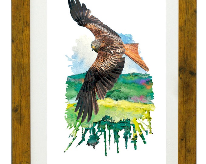 AQUILONE ROSSO (Red Kite), Framed Limited Edition Fine Art Giclée Print, from an original Watercolour illustration, by Gerald Bright