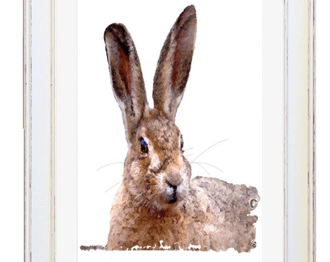 BEAUTY, Framed Limited Edition Fine Art Giclée Print, from a Digital Line and Wash Illustration, by Gerald Bright