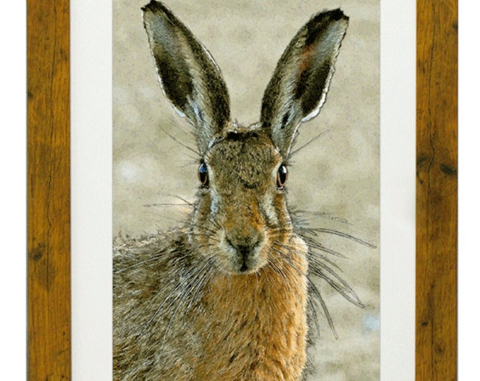 FULL COLOURED HARE, Framed Open Edition Fine Art Giclée Print, from an original Line and Wash illustration, by Gerald Bright