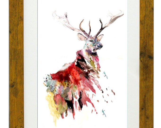 EMPEROR, Framed Limited Edition Fine Art Giclée Print, from an original Watercolour illustration, by Gerald Bright