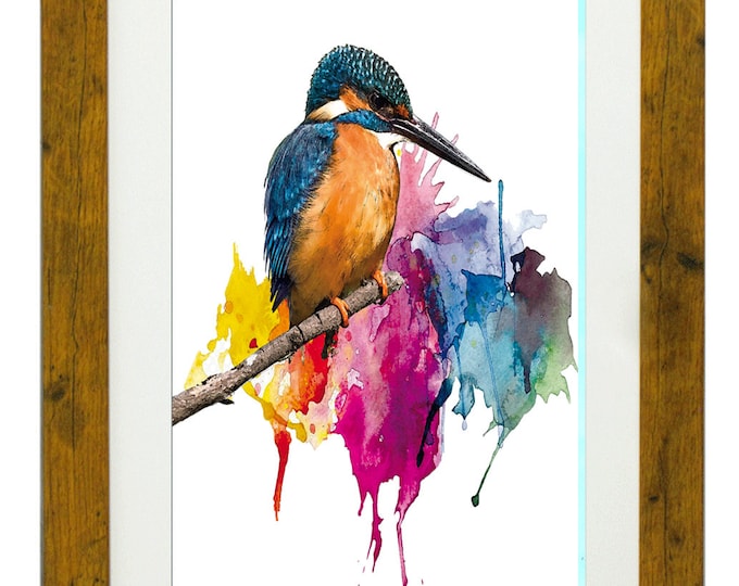 ALCEDO, Framed King Fisher Limited Edition Fine Art Giclée Print, from an original Watercolour illustration, by Gerald Bright