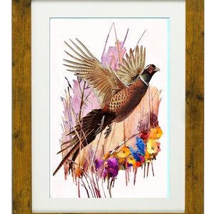 FAGIANO (Pheasant), Framed Limited Edition Fine Art Giclée Print, from an original Watercolour illustration, by Gerald Bright