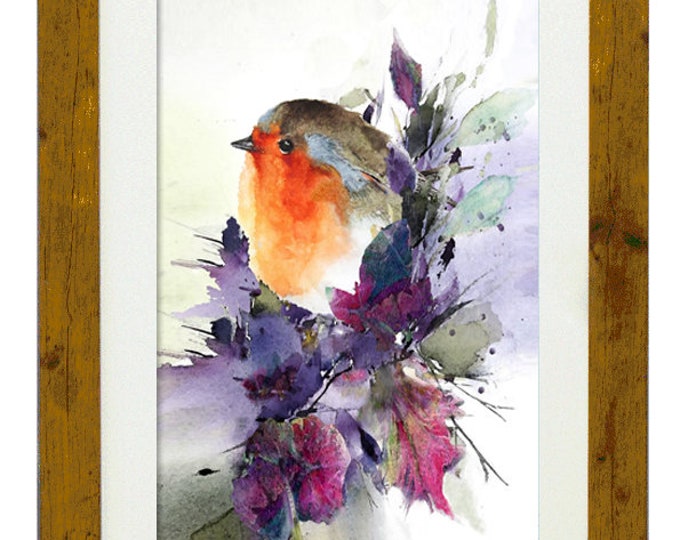 PETTIROSSO, Framed Limited Edition Fine Art Giclée Print, from an original Watercolour illustration, by Gerald Bright
