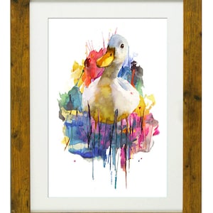 BELLUS ANATIS, Framed Limited Edition Fine Art Giclée Print, from an original Watercolour illustration, by Gerald Bright