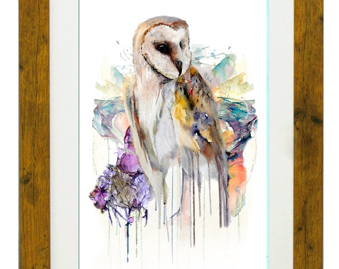 STRIGI-FORMES (Owl), Framed Limited Edition Fine Art Giclée Print, from an original Watercolour illustration, by Gerald Bright