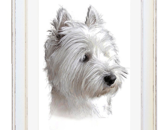 WESTIE, Framed Open Edition Fine Art Giclée Print, from an original Line and Wash illustration, by Gerald Bright