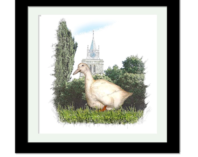 AYLESBURY DUCK, Framed Limited Edition Fine Art Giclée Print, from an original Line and Wash illustration, by Gerald Bright.