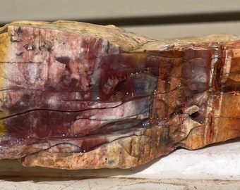 Arizona rainbow petrified wood natural fossil  Raw lapidary slab 2 lbs