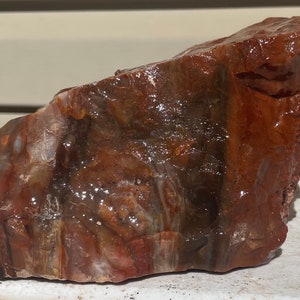 Arizona rainbow petrified wood natural fossil  Raw lapidary slab 3 lbs