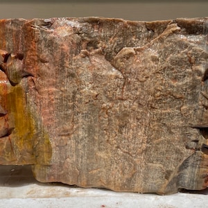 Arizona rainbow petrified wood natural fossil  Raw lapidary slab 6 lbs