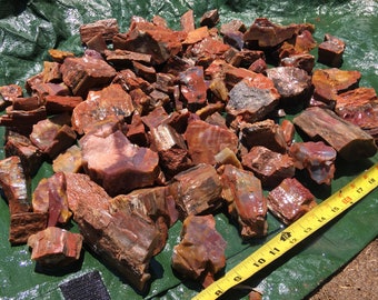 May include: A large pile of red, brown, and white petrified wood chunks on a green tarp. A yellow measuring tape is visible in the bottom right corner.