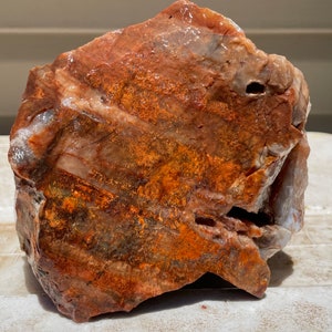 Arizona rainbow petrified wood natural fossil  Raw lapidary slab 4 lbs