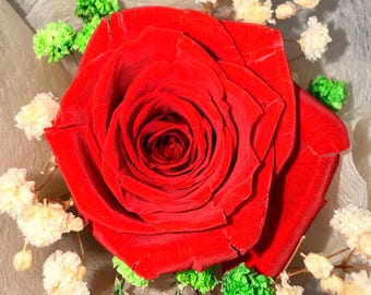 Hand-Cast Gold Mineral Stone Cup with Preserved Red Rose | Artisan Floral Accent