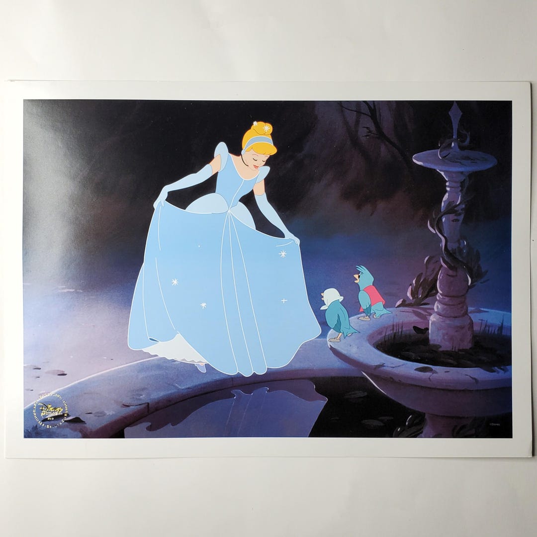 Cinderella Castle Lithograph Dress Gown Princess Authentic Disney Store ...