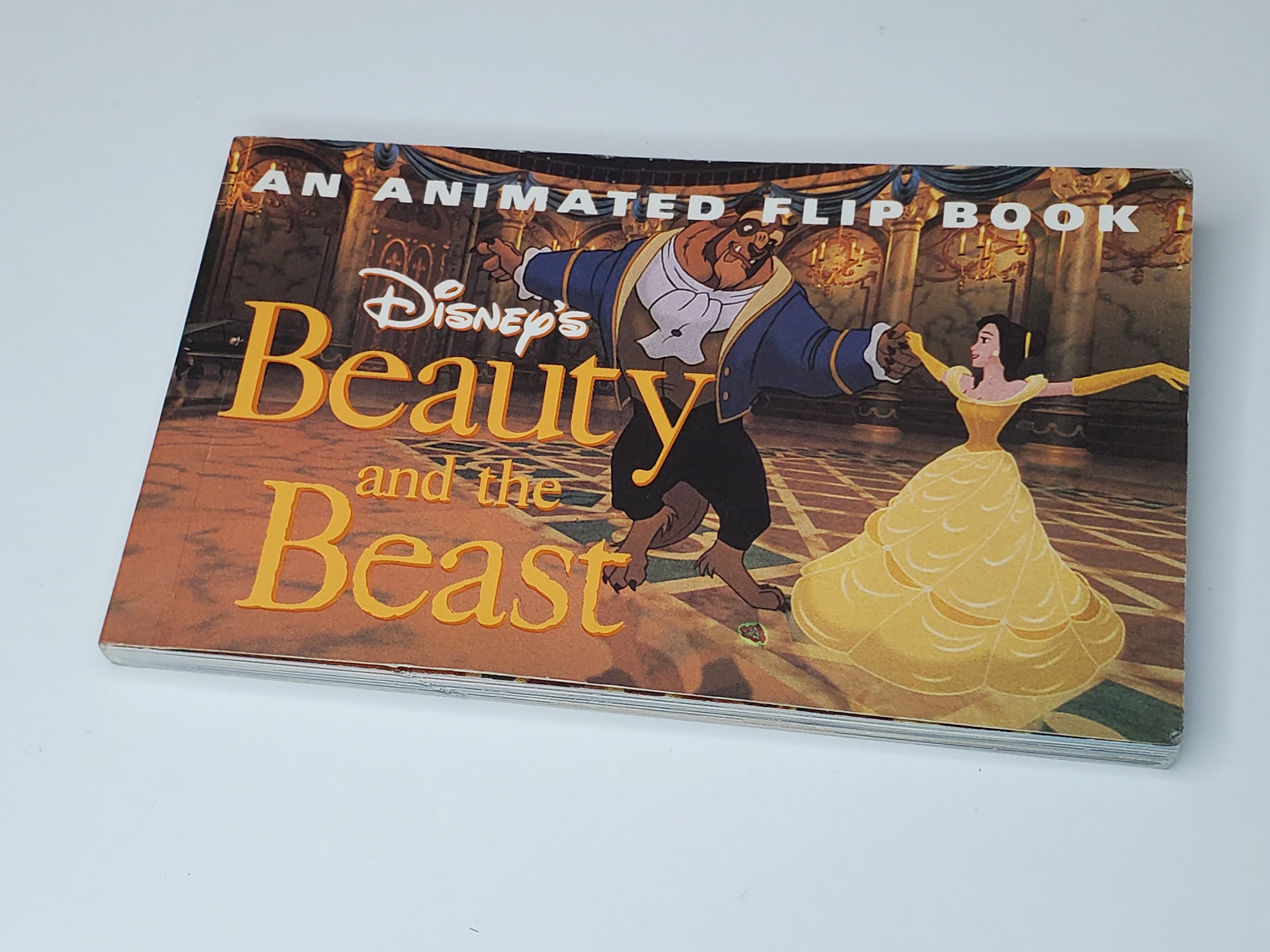Disneyland Flip Book - Etsy