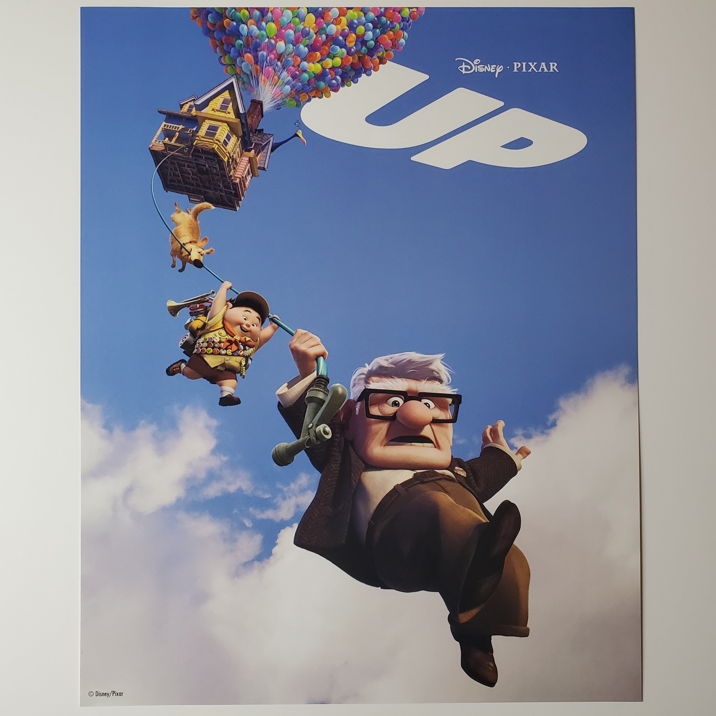 Up Lithograph Authentic Pixar Disney Mini One Sheet Movie Poster Carl  Russell Dug 8x10 - Etsy, image size:2865x2865