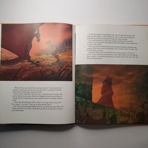 May include: An open book with illustrations from a children's fantasy story. One image shows a dragon and a character in a brown landscape. The other shows a figure in a red robe in a castle setting.