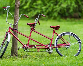 Red Tandem Bicycle in Park; Blank Photo Greeting Card