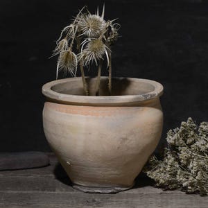 以下が含まれることがあります： 風化した薄茶色の陶器の鉢に、乾燥したアザミが入った静物画。素朴な木製の表面に、鉢の隣には乾燥ハーブの束が置かれています。背景は暗く、質感のある壁です。