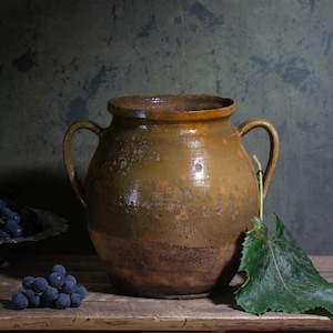 May include: Still life composition featuring a rustic, two-handled earthenware jug, a glass of dark liquid, and a cluster of dark grapes on a wooden surface. A metal dish holds more grapes. A green leaf adds a natural element to the scene.