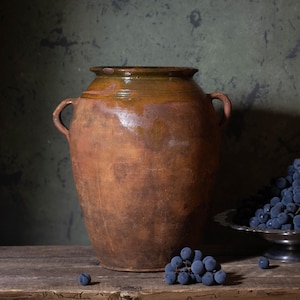 Può includere: Una natura morta con un grande vaso di ceramica marrone con manici, una ciotola d'argento piena di uva scura e qualche acino sparso. Una foglia verde è appoggiata accanto alla ciotola, il tutto su una superficie di legno rustico.