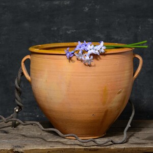 May include: A terracotta pot with two handles, decorated with a light brown glaze. A sprig of purple and white hyacinths rests on the rim of the pot.