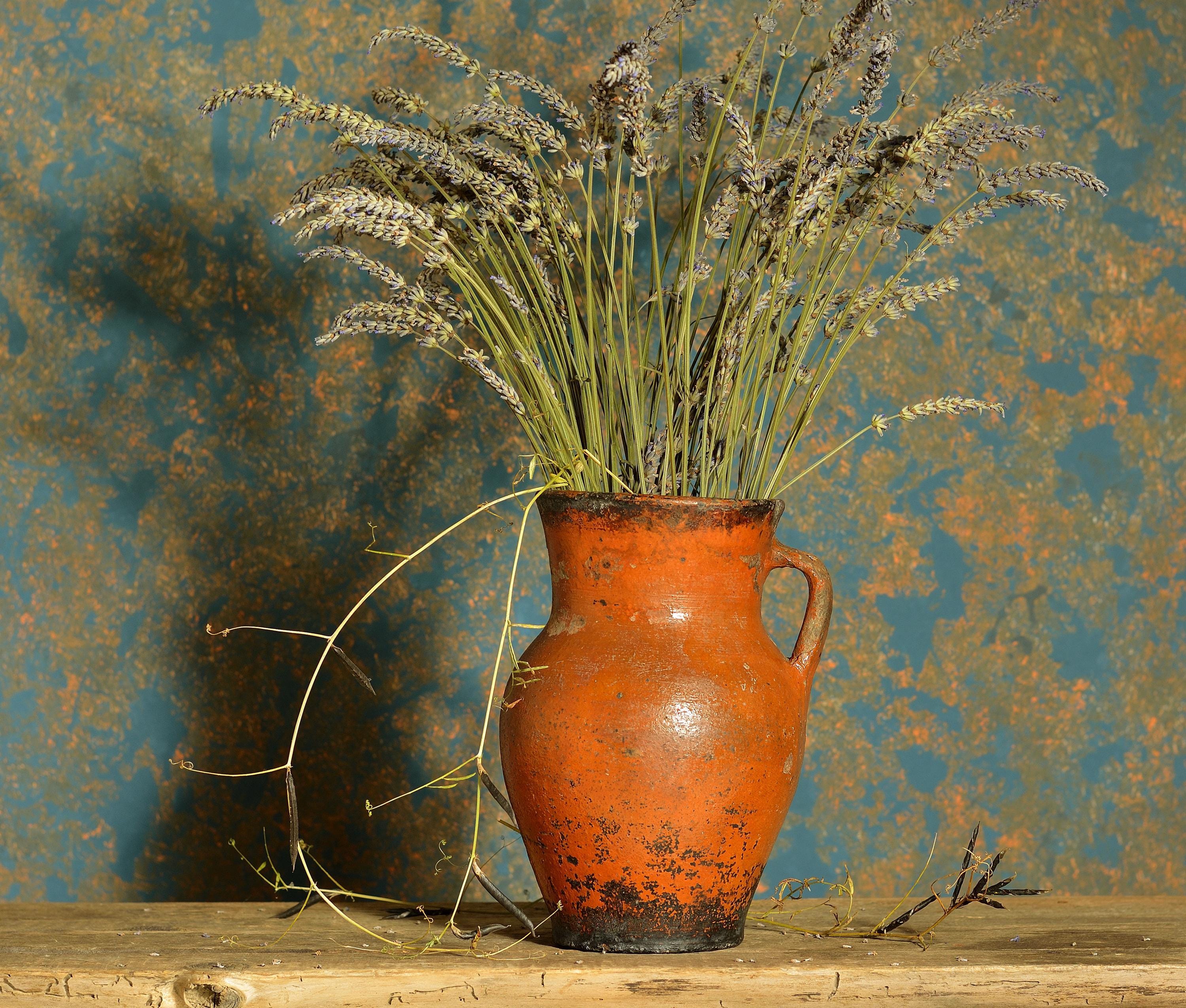 393 ウクライナのアンティーク陶器のピッチャー、原始的なテラコッタの