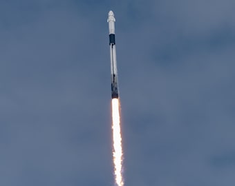 SpaceX Launch Print, Falcon 9 Rocket Print, Rocket Launch Poster, Falcon 9 Poster Print, SpaceX Crew 9, Crew Dragon, NASA Astronaut