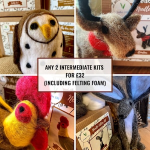 Any 2 x Intermediate Needle Felting Kits