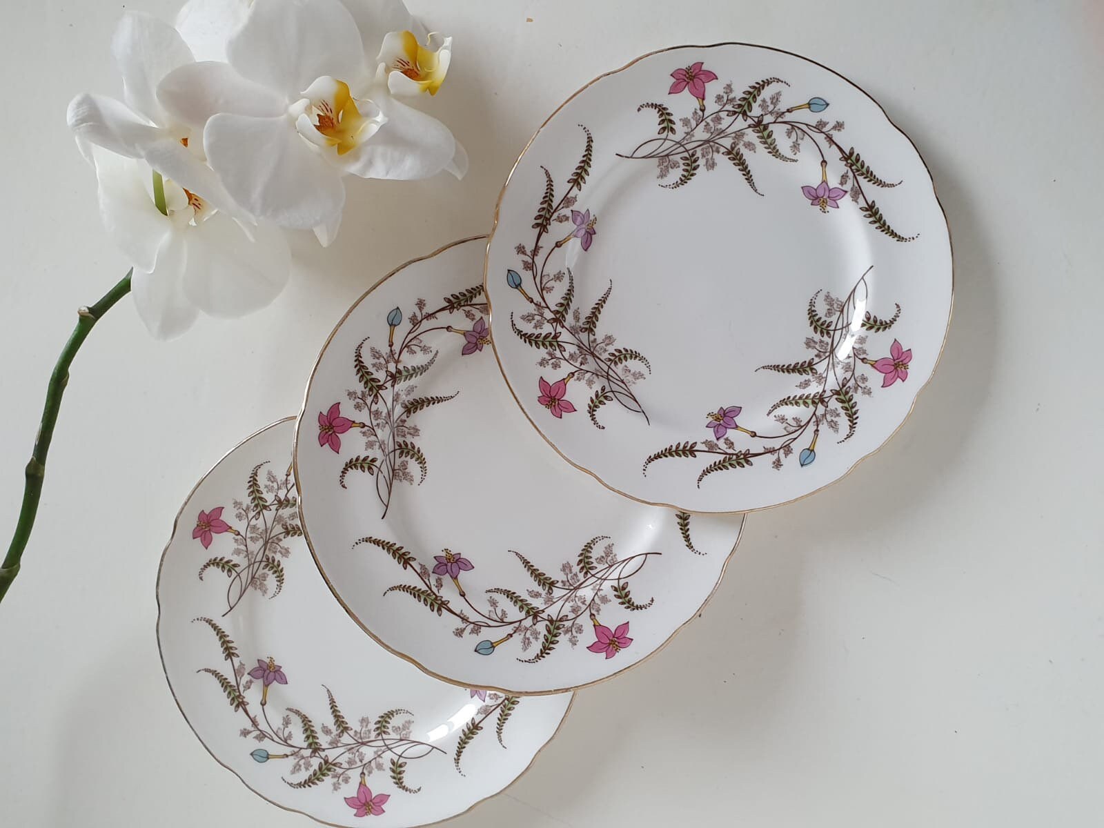 BIGBANG G-DRAGON ボーンチャイナ プレート ボーンチャイナ プレート 17cm | Yanagi-Shop