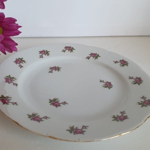 Antique MZ Moritz Zdekauer Czechoslovakian Plate
