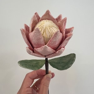 May include: A pink and white protea flower with green leaves on a brown stem.