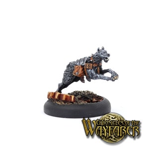 Hunting Hound 3 - Kronieken van de Wayfarer