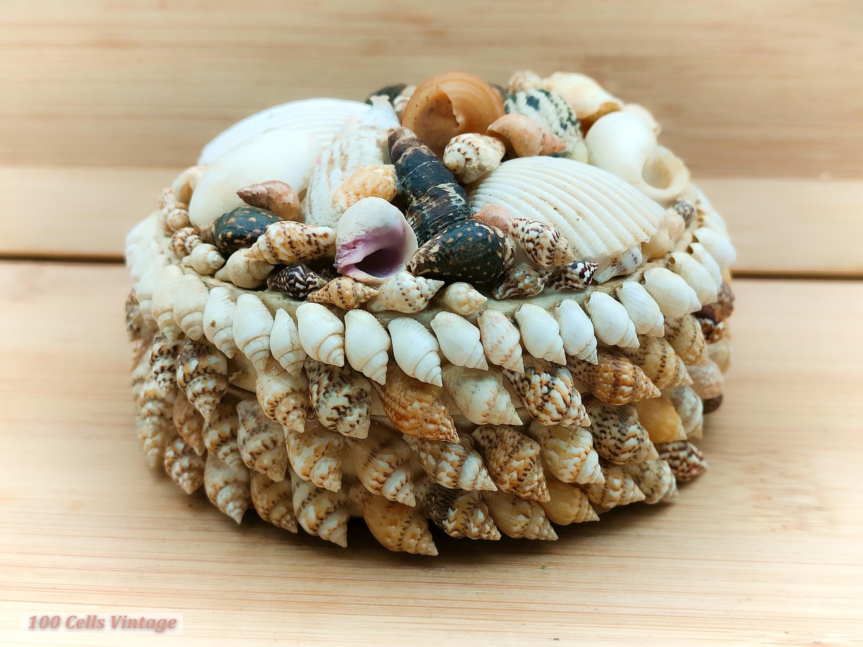 Embroidered Heart Bangladash Jewelry Box With Shell Hair Tie Vintage Set dc74cb6322254ad5b9a3ea92955438  main image 2