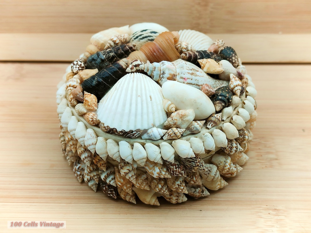 Seashell Covered-9cm-vintage Trinket/pill/jewellery Box-d Keepsake Box ...