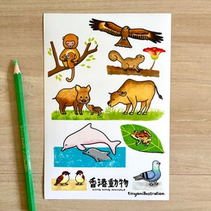 Hong Kong Children's Book and Sticker Set image 9