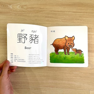 Hong Kong Children's Book and Sticker Set image 5