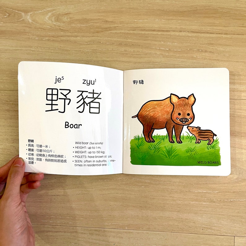 Hong Kong Children's Book and Sticker Set image 5