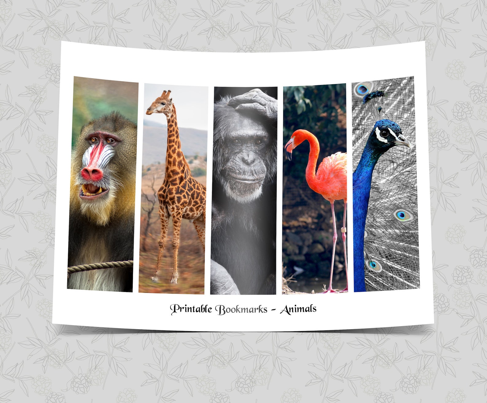 Cute Animals Printable Bookmarks Set, Book Lover Gift, Instant Download ...