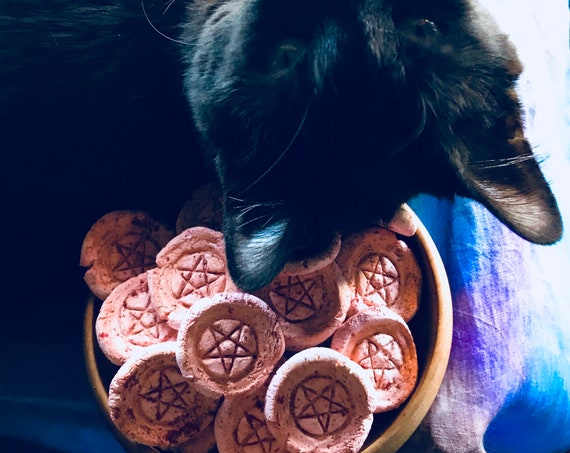 Dragon's Blood, Blue Moon Infused Pentacle Altar Medallion, Token, Coin